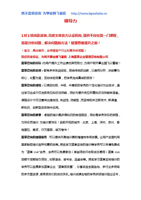 《领导力》