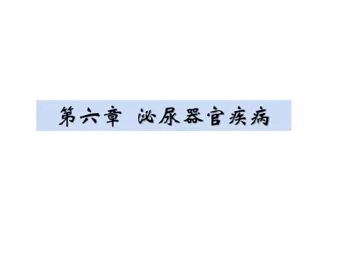 兽医内科学-第六章  泌尿器官疾病