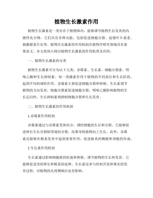 植物生长激素作用