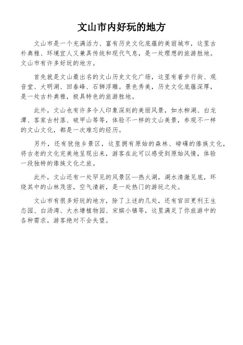 文山市内好玩的地方