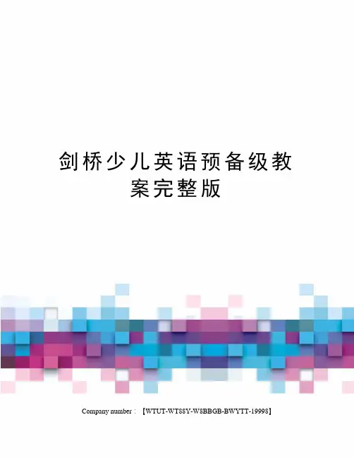 剑桥少儿英语预备级教案完整版