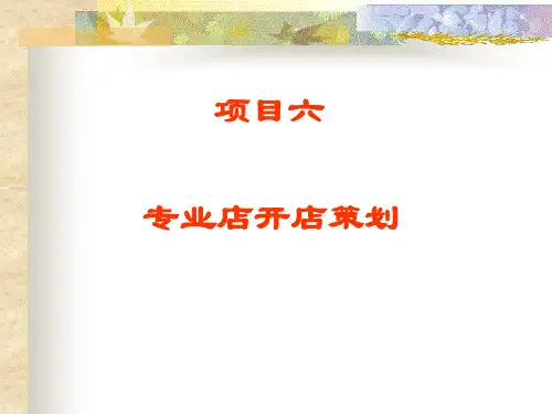 专业店开店策划方案(PPT 31页)
