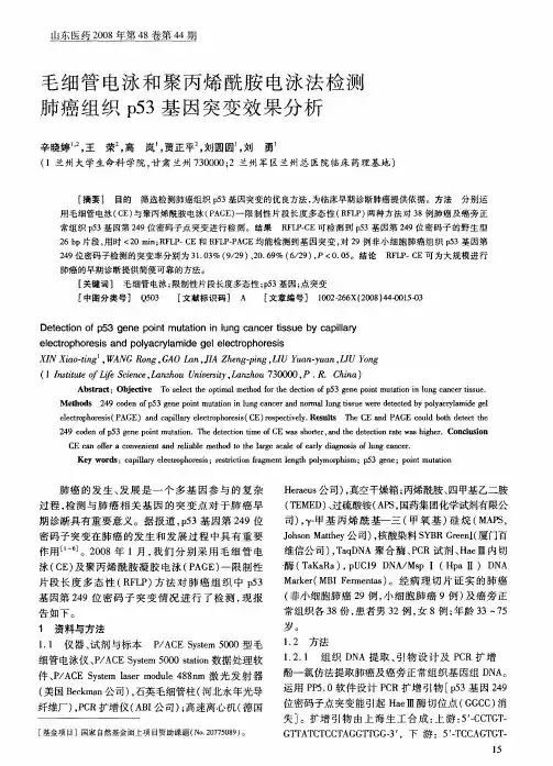 毛细管电泳和聚丙烯酰胺电泳法检测肺癌组织p53基因突变效果分析