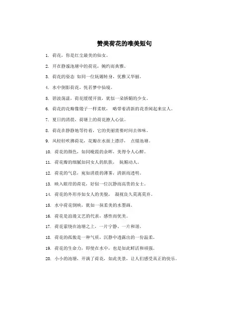 赞美荷花的唯美短句