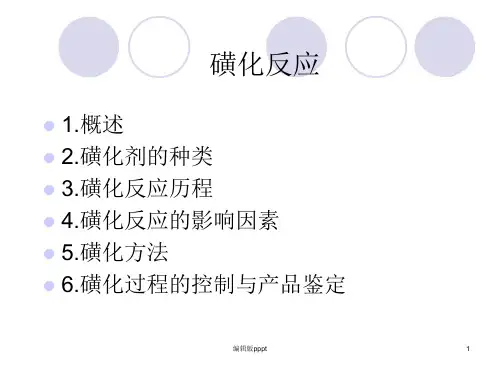 磺化反应ppt课件