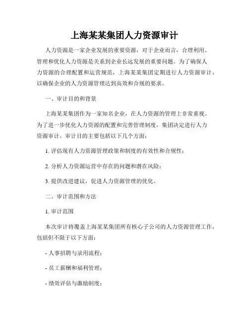 上海某某集团人力资源审计