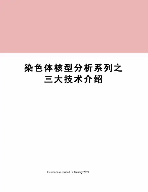 染色体核型分析系列之三大技术介绍