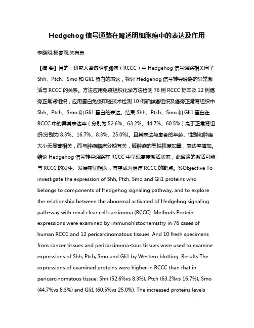 Hedgehog信号通路在肾透明细胞癌中的表达及作用