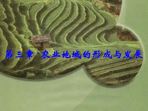 最新-人教版必修二3.1 农业的区位选择(共21张PPT)-PPT文档资料