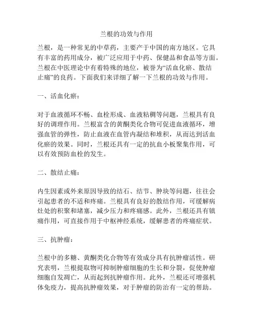 兰根的功效与作用