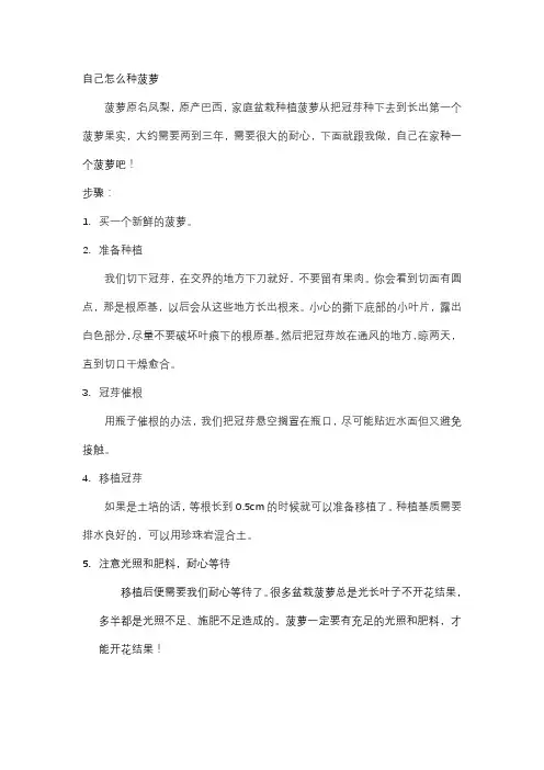 自己怎么种菠萝