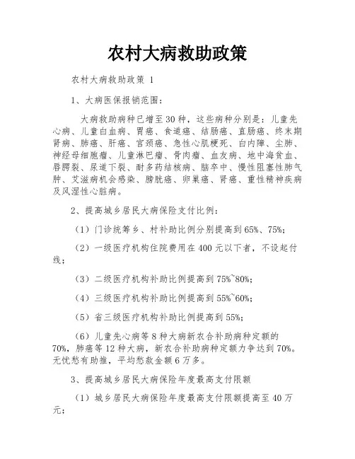 农村大病救助政策