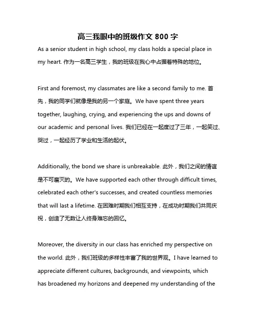 高三我眼中的班级作文800字