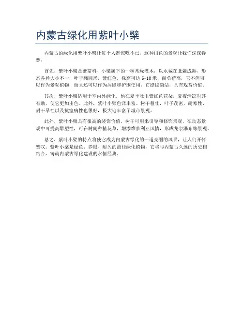 内蒙古绿化用紫叶小檗