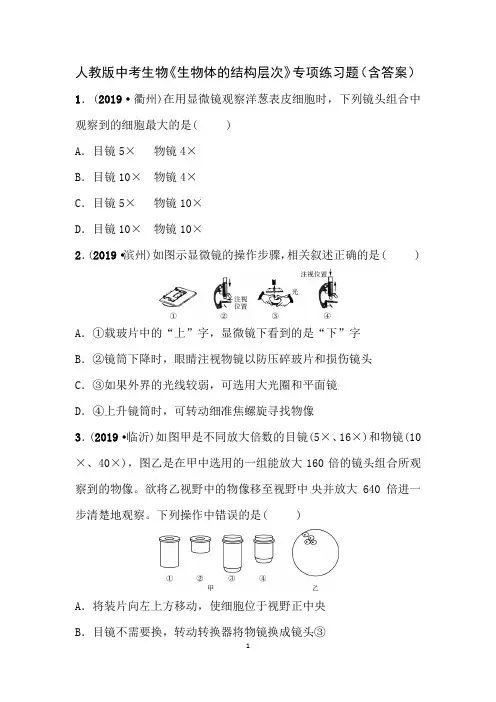 人教版中考生物《生物体的结构层次》专项练习题(含答案)