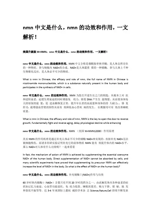 nmn中文是什么,nmn的功效和作用,一文解析!