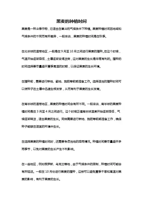 黑麦的种植时间