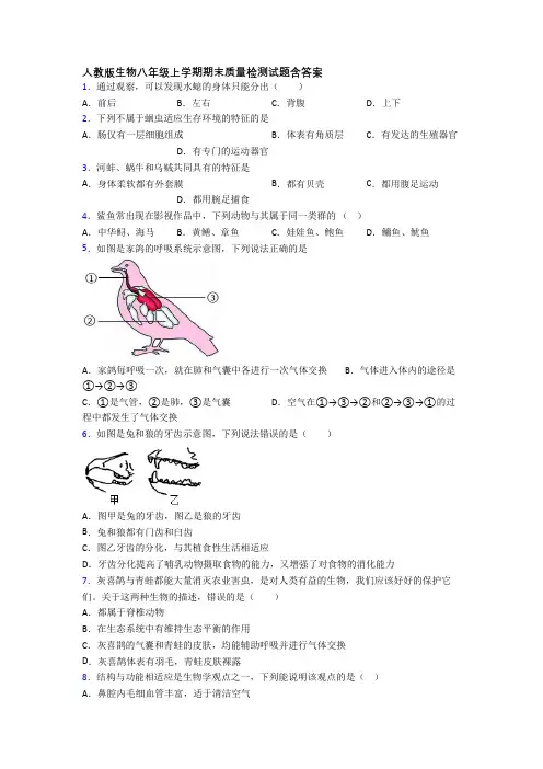 人教版生物八年级上学期期末质量检测试题含答案