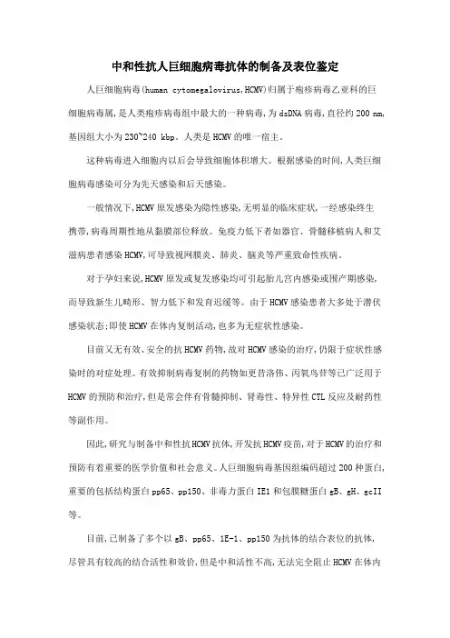 中和性抗人巨细胞病毒抗体的制备及表位鉴定