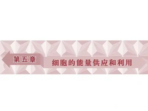高中同步创新课堂生物优化方案人教版必修1课件：第五章第1节一
