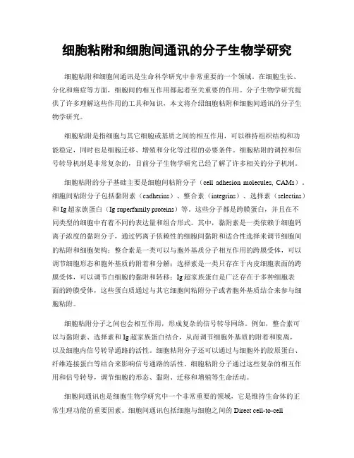 细胞粘附和细胞间通讯的分子生物学研究