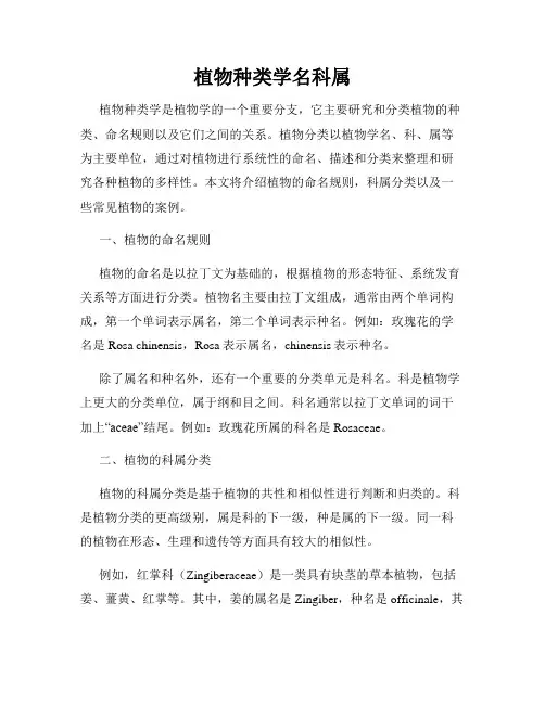 植物种类学名科属