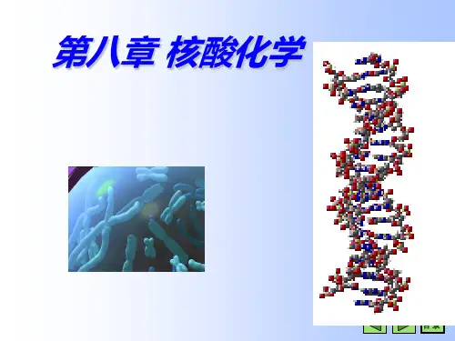 08-2-核酸化学-理化性质