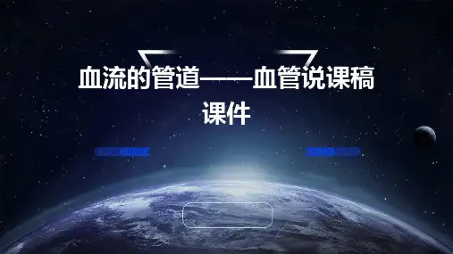 血流的管道——血管说课稿课件