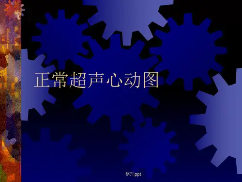《正常超声心动》