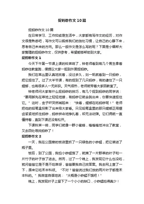 捉蚂蚱作文10篇