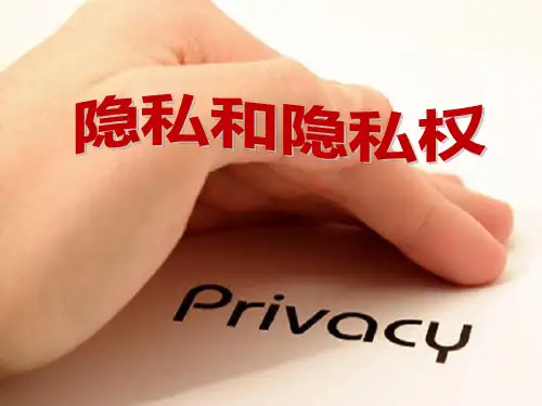 《隐私和隐私权》隐私受保护2精选优质 PPT