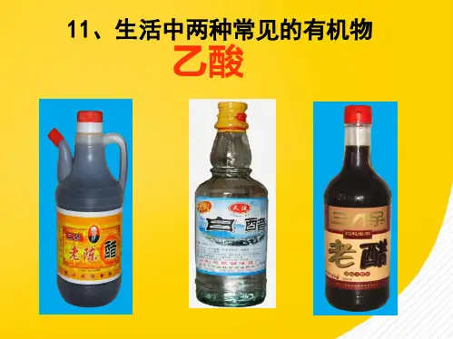 乙酸(详细分析：乙酸)共9张PPT