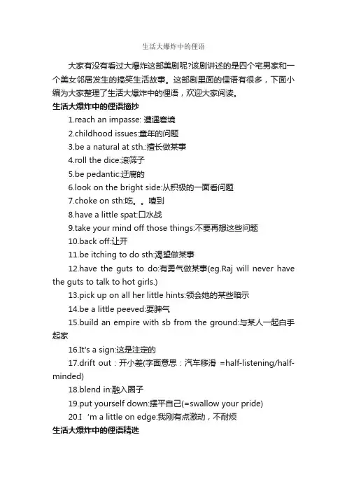生活大爆炸中的俚语_俚语