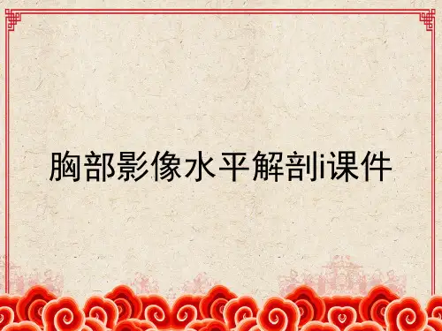 胸部影像水平解剖i课件