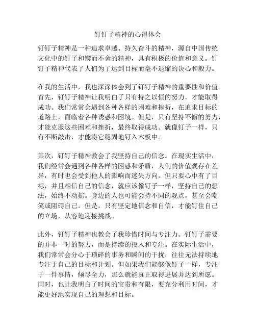 钉钉子精神的心得体会