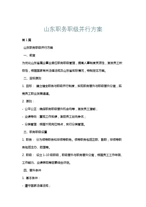 山东职务职级并行方案