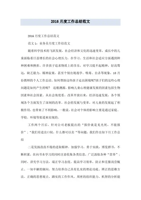 2016月度工作总结范文