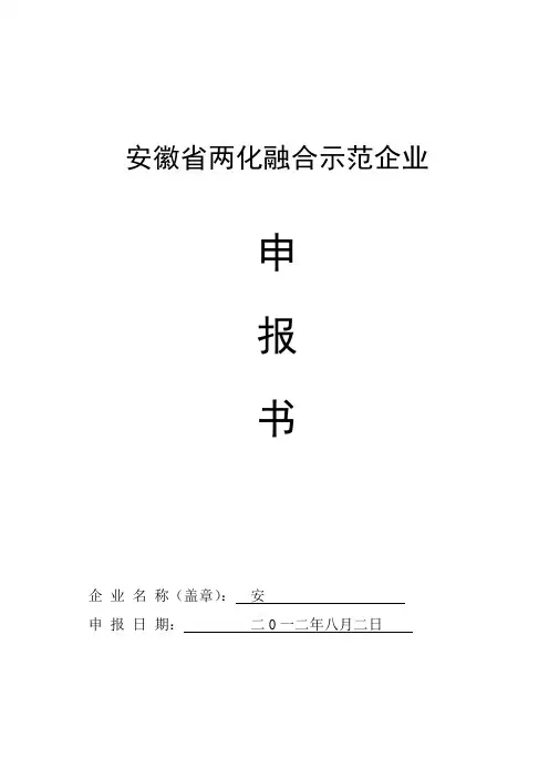 两化融合企业申报书1