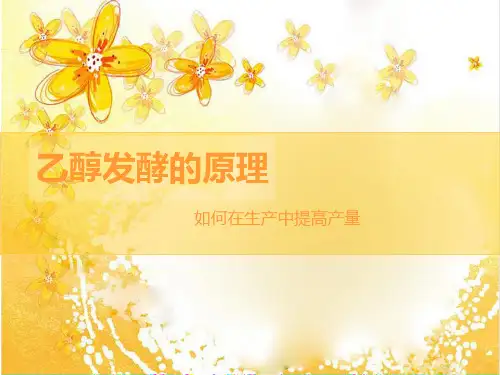 乙醇发酵