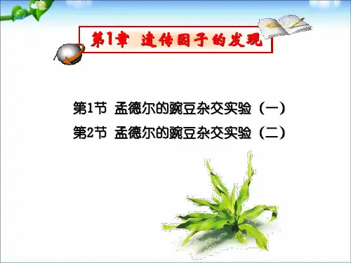 人教版必修二生物第一章-复习优秀课件
