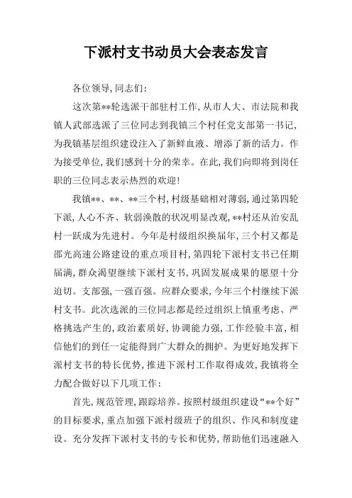 下派村支书动员大会表态发言