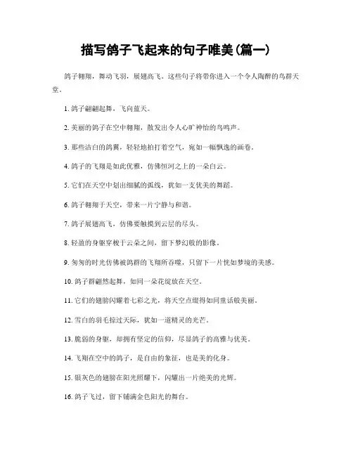 描写鸽子飞起来的句子唯美(精选合集2篇)