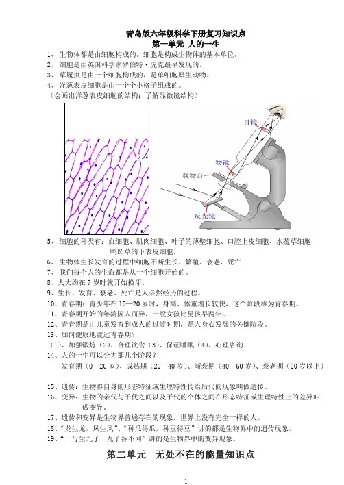 (推荐下载)青岛版六年级下册科学知识点总结366