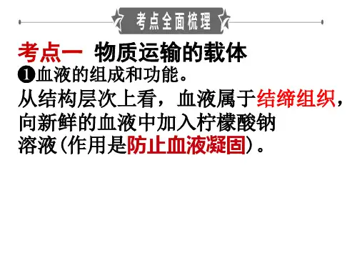 血液循环专题复习