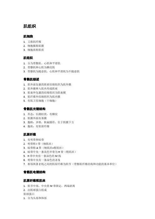 组织学与胚胎学肌组织整理