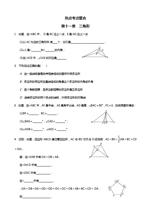 八年级上册热点考点整合