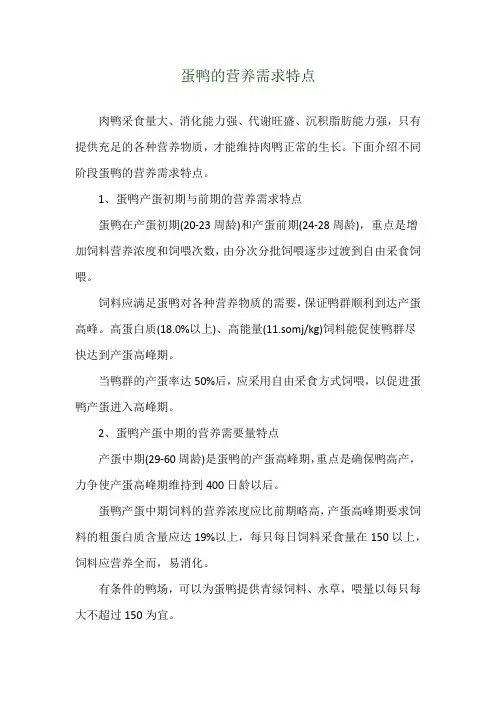 蛋鸭的营养需求特点