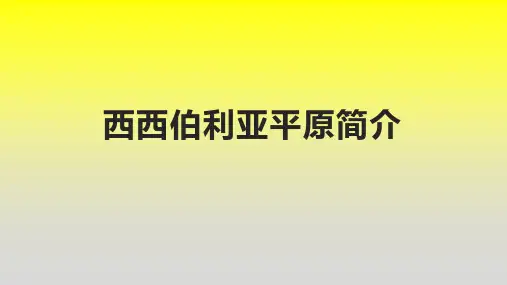 西西伯利亚平原简介