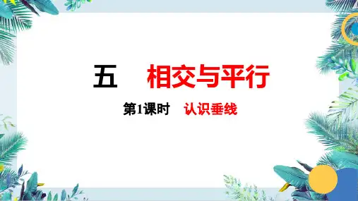 《认识垂线》课件
