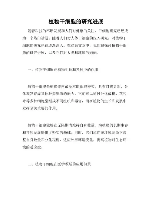 植物干细胞的研究进展